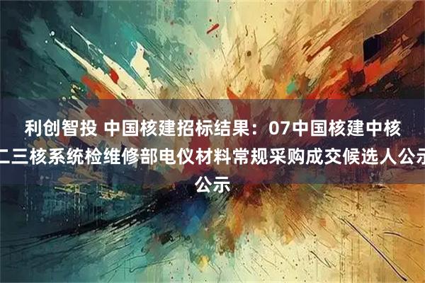 利创智投 中国核建招标结果:07中国核建中核二三核系统检维修部电仪材料常规采购成交候选人公示
