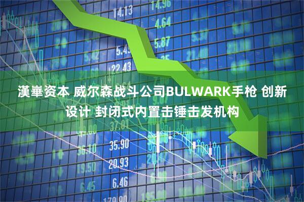 漢崋资本 威尔森战斗公司BULWARK手枪 创新设计 封闭式内置击锤击发机构